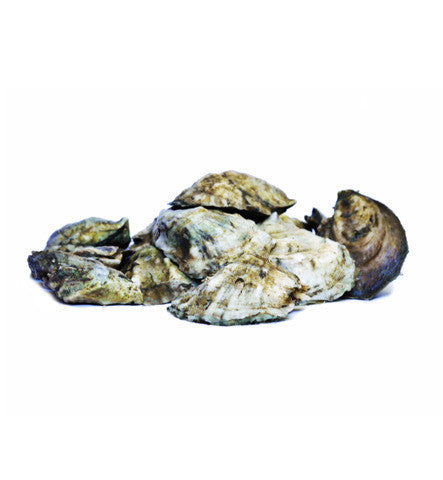 Island Creek Oysters